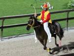 Palio di Legnano 2023 Antonio Siri