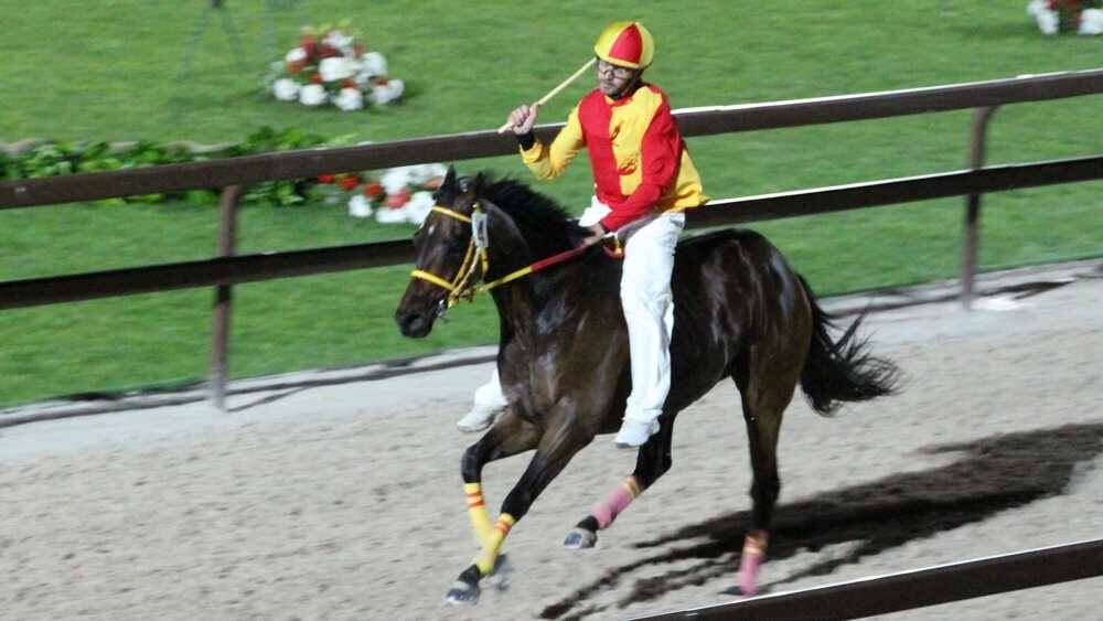 Palio di Legnano 2023 finale