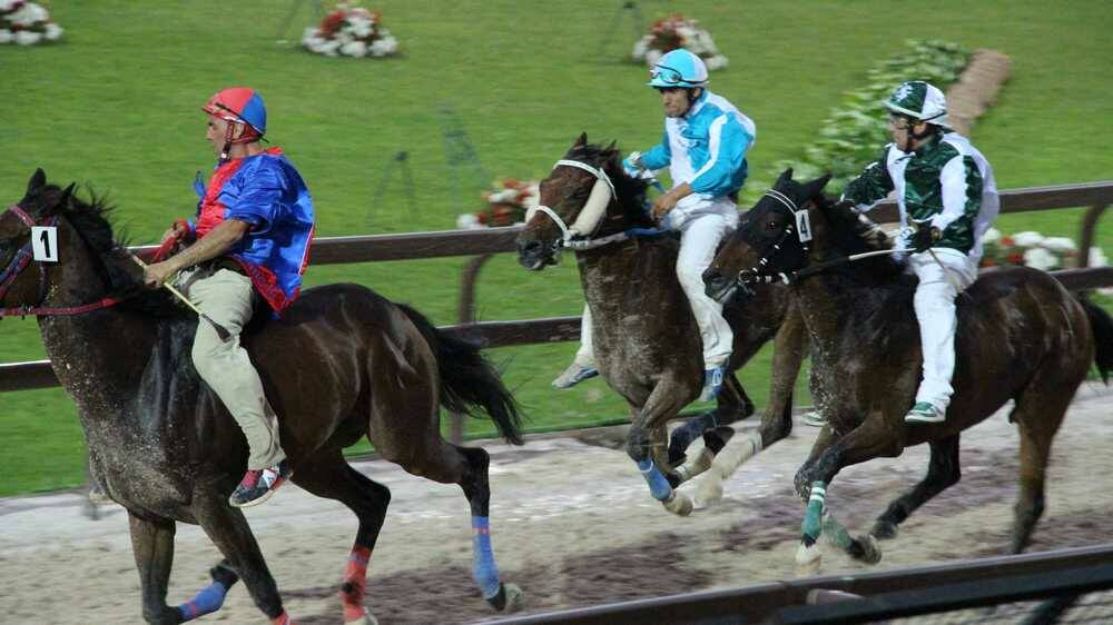 Palio di Legnano 2023 Prima Batteria