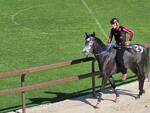 Corse di addestramento Palio di Legnano 14 aprile 2024