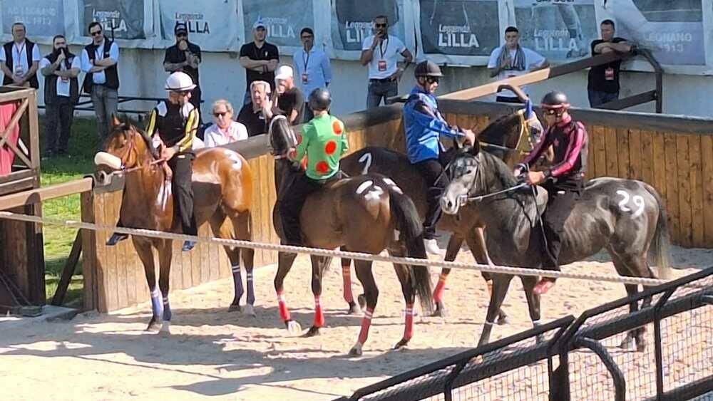 Corse di addestramento Palio di Legnano 14 aprile 2024