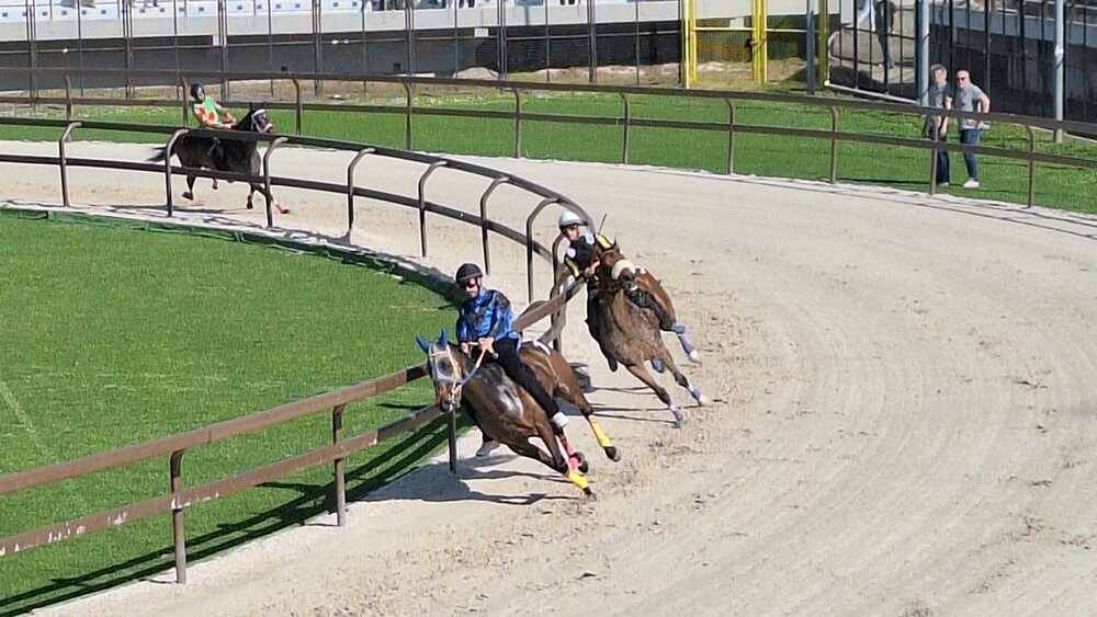 Corse di addestramento Palio di Legnano 14 aprile 2024