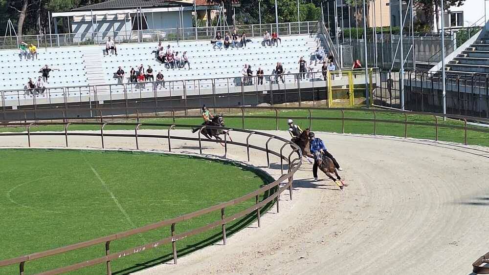 Corse di addestramento Palio di Legnano 14 aprile 2024