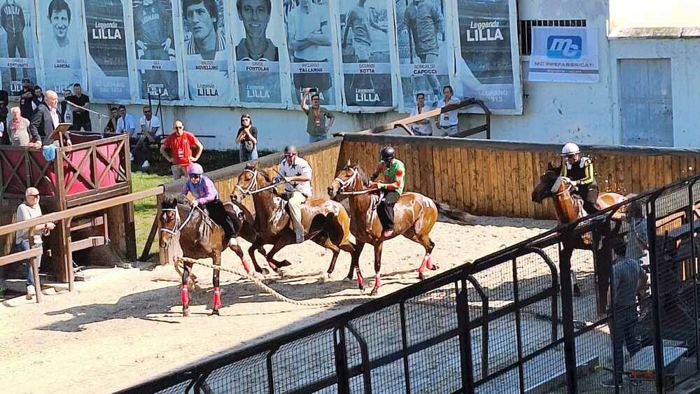 Corse di addestramento Palio di Legnano 14 aprile 2024