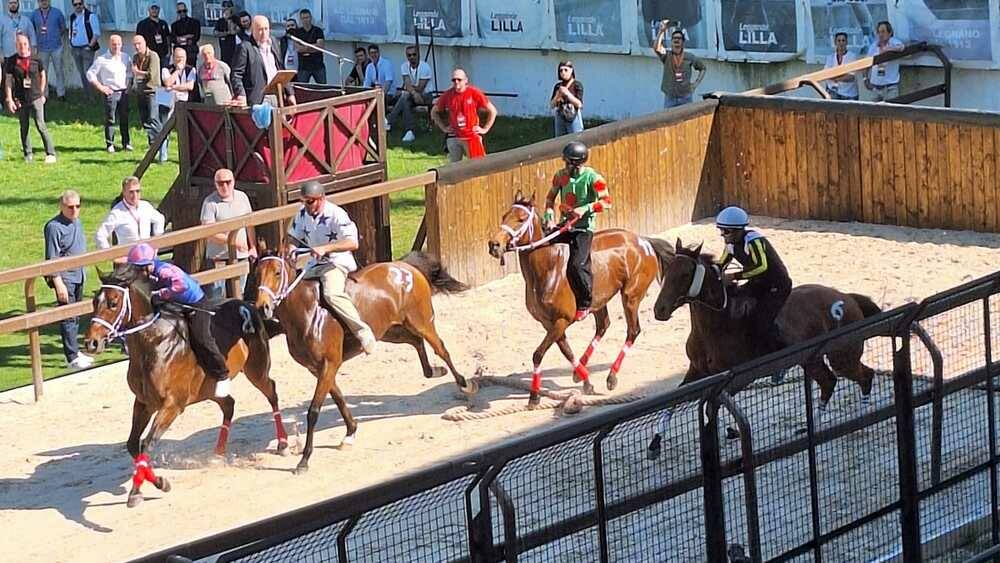 Corse di addestramento Palio di Legnano 14 aprile 2024