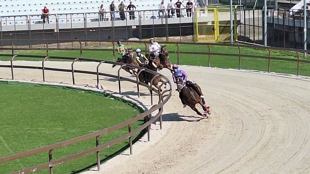 Corse di addestramento Palio di Legnano 14 aprile 2024