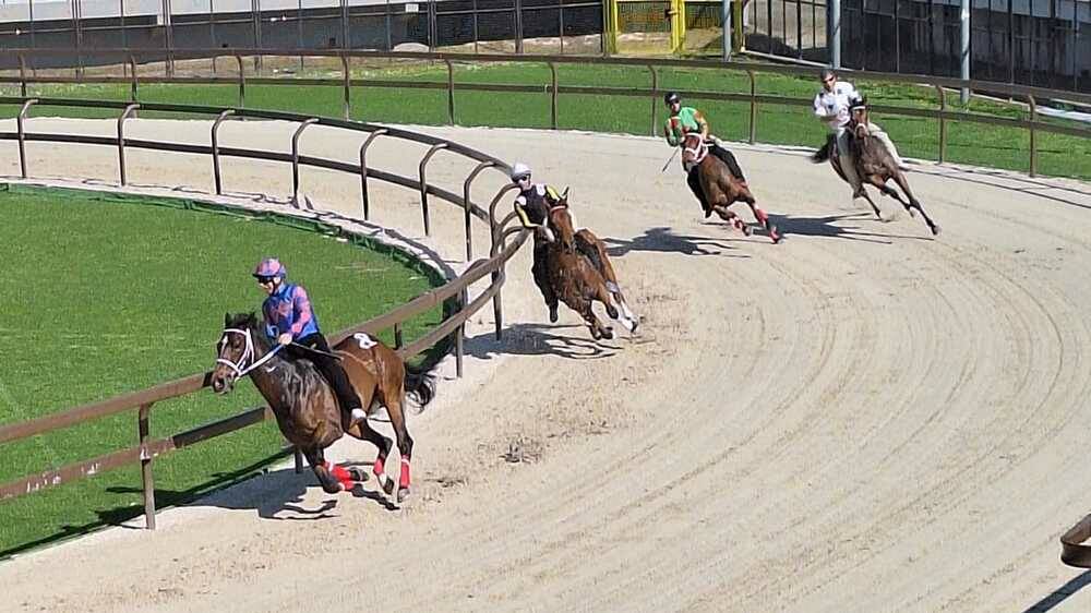 Corse di addestramento Palio di Legnano 14 aprile 2024