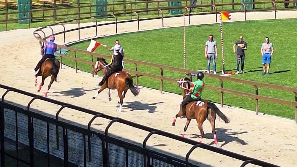 Corse di addestramento Palio di Legnano 14 aprile 2024