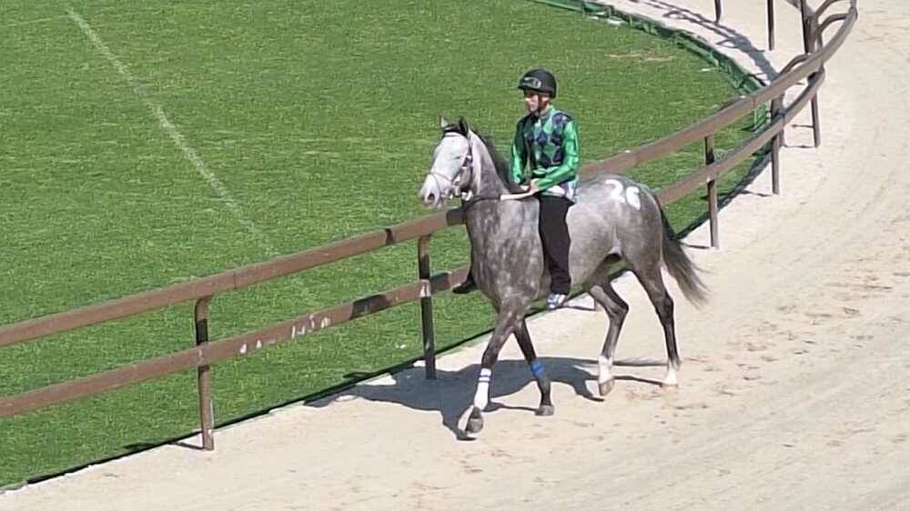 Corse di addestramento Palio di Legnano 14 aprile 2024